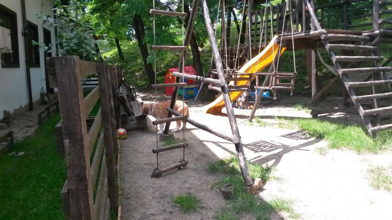 Pension Casa Drumetului Πιάτρα Νέαμτς Εξωτερικό φωτογραφία